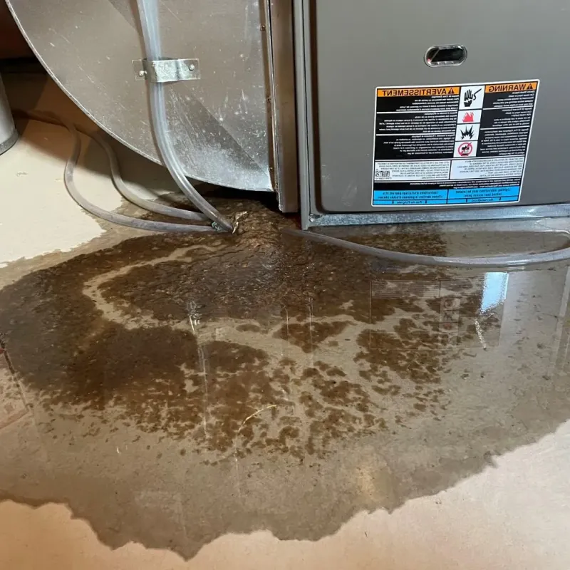 Pipe Burst and Leak Restoration in Langhorne Manor, PA